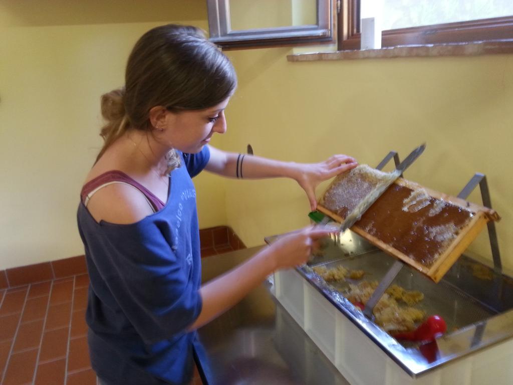 Agriturismo Villa Mazzi Montepulciano Stazione Εξωτερικό φωτογραφία