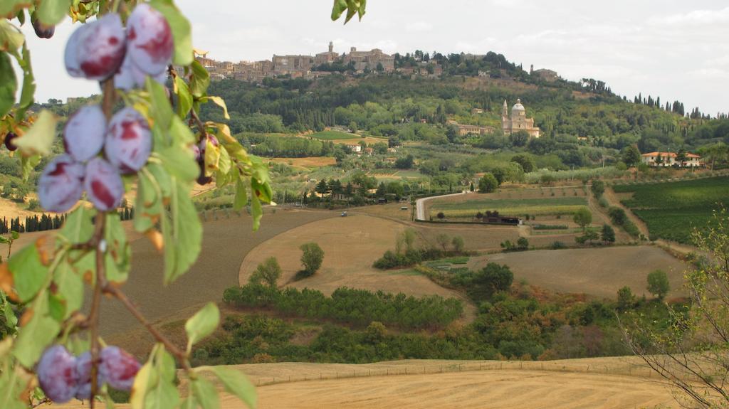Agriturismo Villa Mazzi Montepulciano Stazione Εξωτερικό φωτογραφία